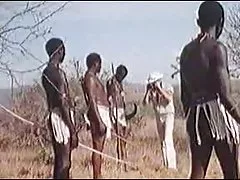 Afrikanska enorma penisar! riktiga safari!