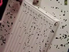 23 yo brunett med stora tuttar fångas av spy cam i badrum