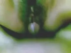 Nepali par trevlig fucking