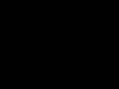 Indonesiska