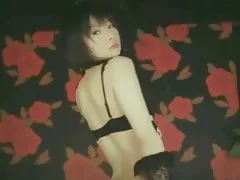 Asiatiska Mjukporr reta j
