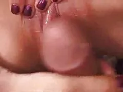 Japanska cytherea