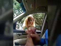 Dick flash bil